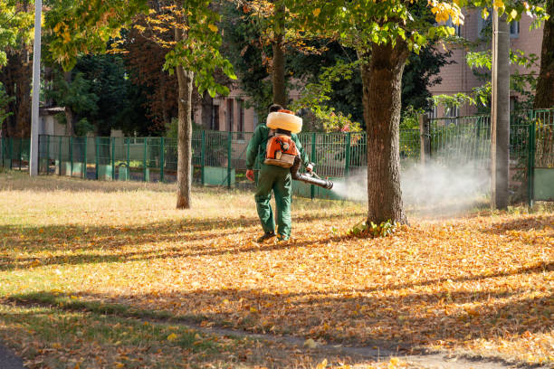 Best Mosquito Control Services  in , WA