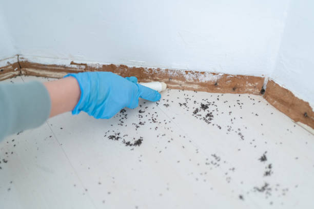 Best Wildlife Control Services  in , WA