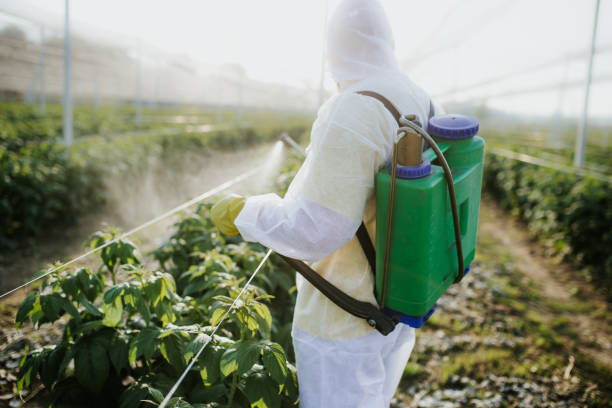 Best Pest Control Near Me  in , WA
